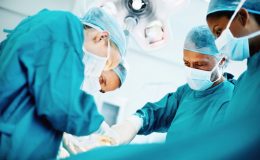 chua-hep-bao-quy-dau-o-dau-ha-noi