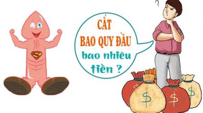 chi-phi-cat-bao-quy-dau-het-bao-nhieu-tien
