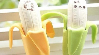 loi-ich-cua-viec-cat-bao-quy-dau-la-gi